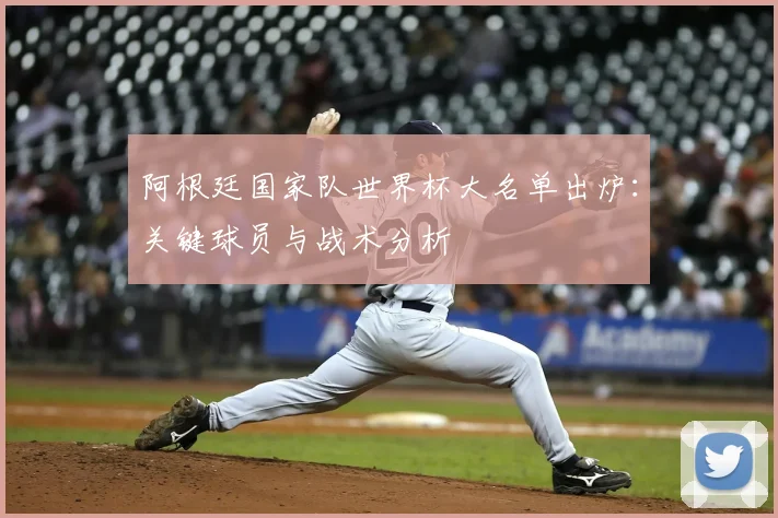 阿根廷国家队世界杯大名单出炉：关键球员与战术分析
